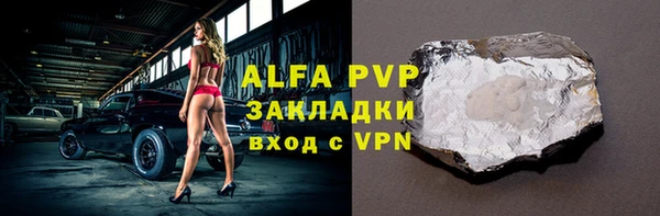гидра Богданович