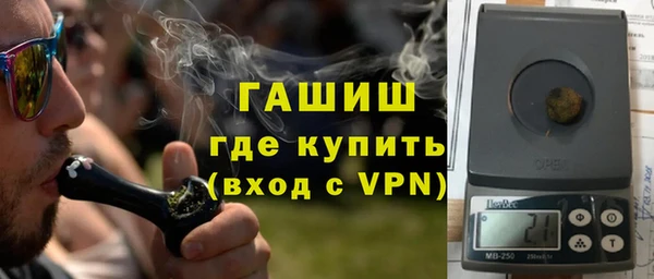 гидра Богданович