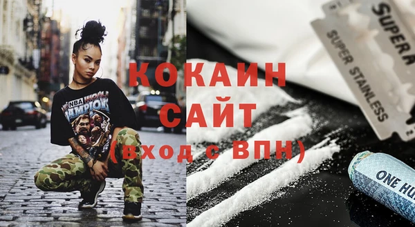 гидра Богданович
