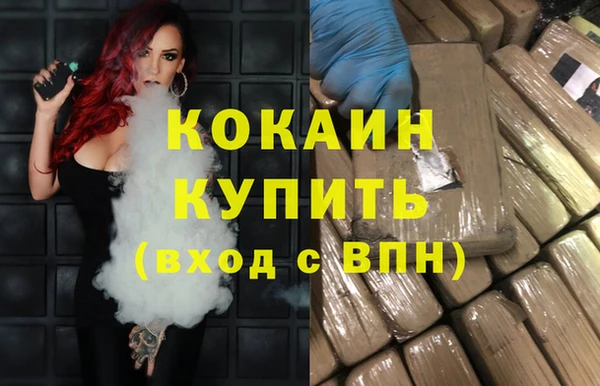 гидра Богданович