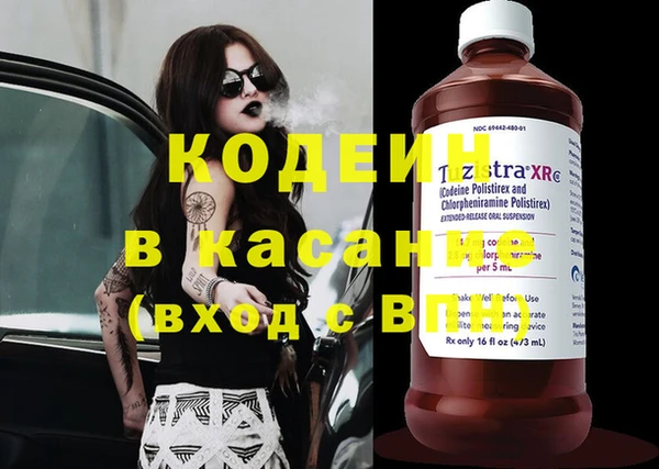 гидра Богданович
