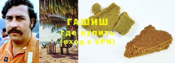 гидра Богданович